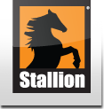 stallion